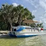 Dolphin & Manatee Boat Tour