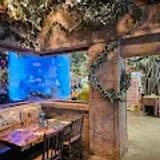 Rainforest Cafe at Moody Gardens