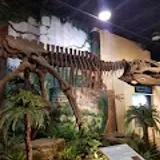 Dinosaur Store & Museum